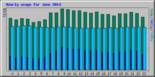 Hourly usage for June 2013