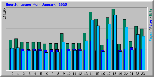 Hourly usage for January 2025