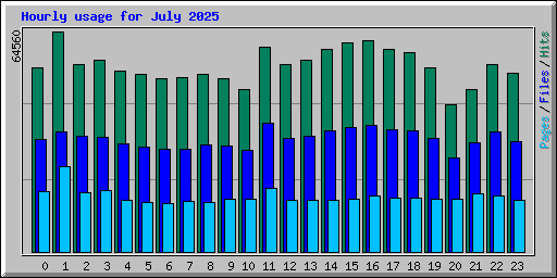 Hourly usage for July 2025