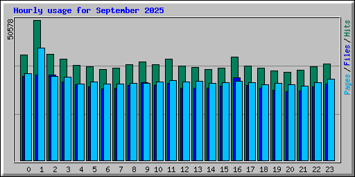 Hourly usage for September 2025