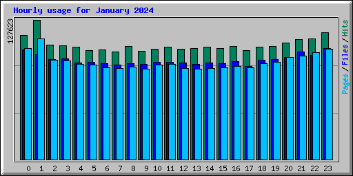 Hourly usage for January 2024