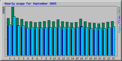 Hourly usage for September 2025