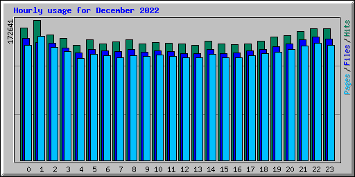 Hourly usage for December 2022