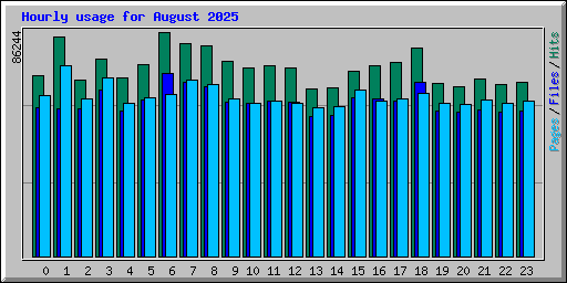 Hourly usage for August 2025